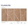 Gạch Ấn Độ 80x160 VA-816.92